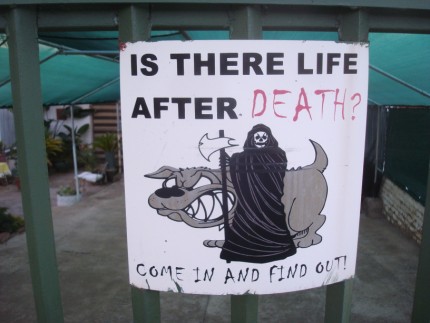 Bordje met tekst isthere life afterdeath, come in and find out!
