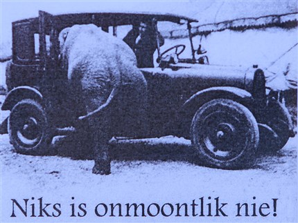Foto van olifant die op de achterbank van een auto wil kruipen